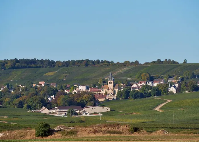 Bed & Breakfast Demeure Larmandier 4*